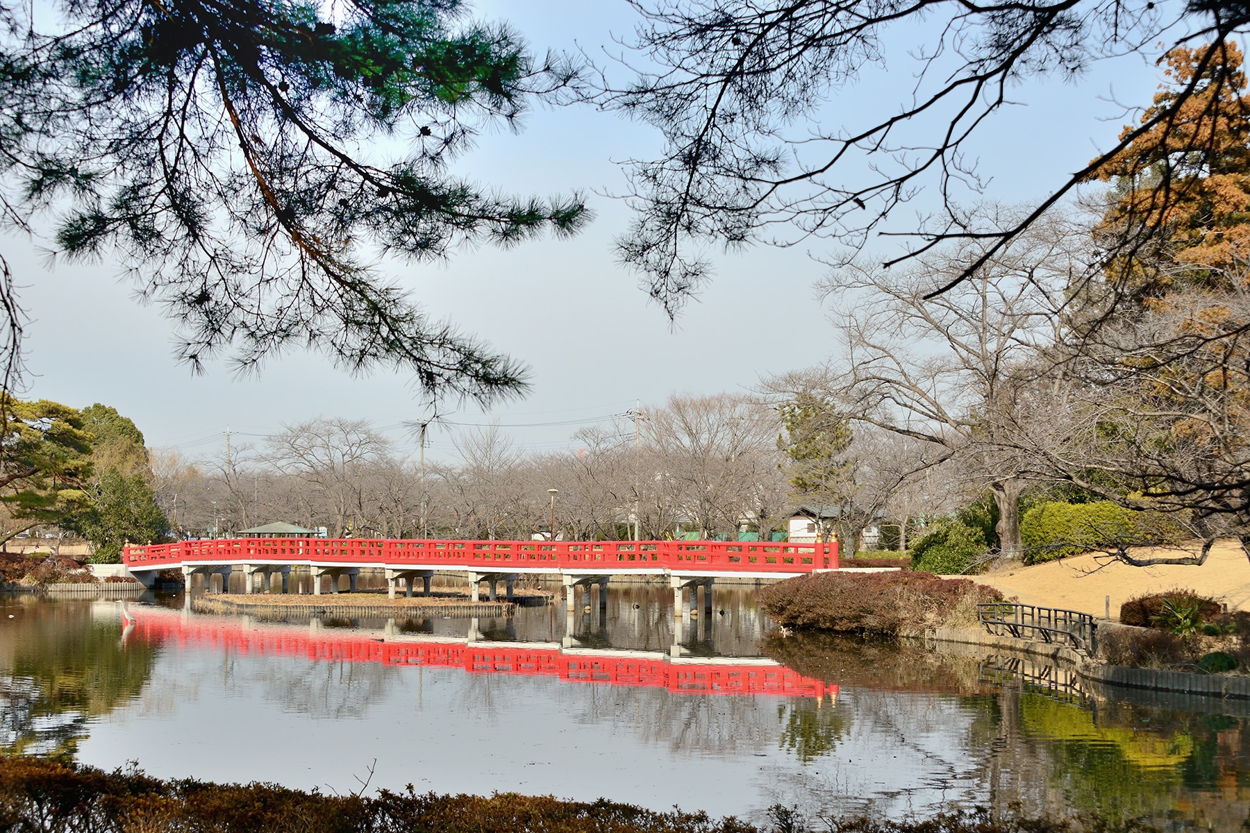 節分豆まき 岩槻久伊豆神社