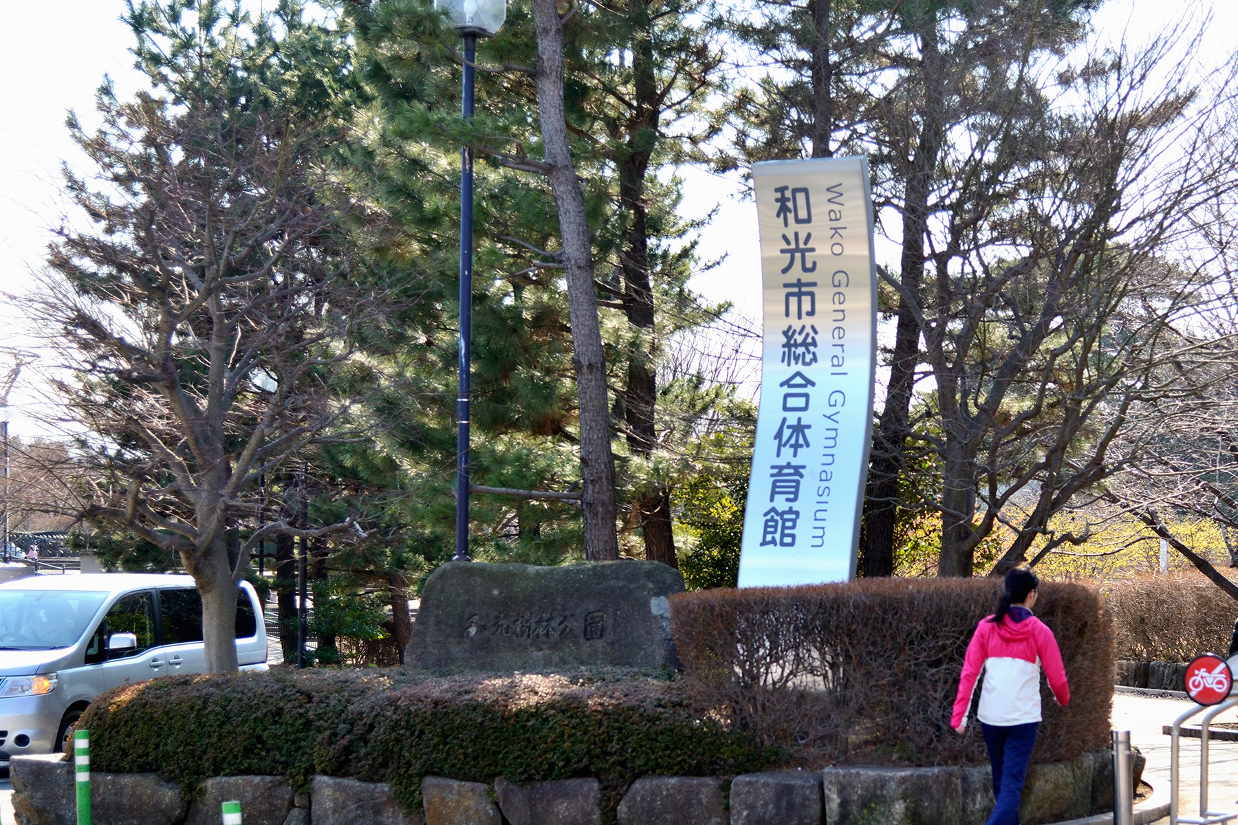 早春のマンサク 和光樹林公園