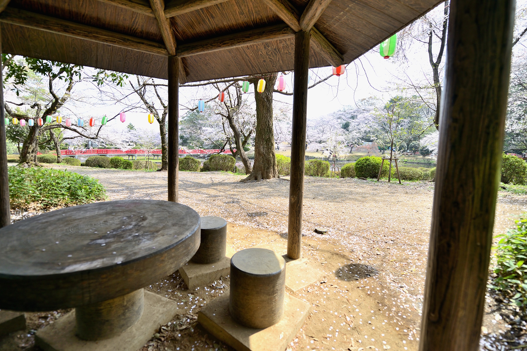 岩槻城跡公園桜まつり 　岩槻城跡公園