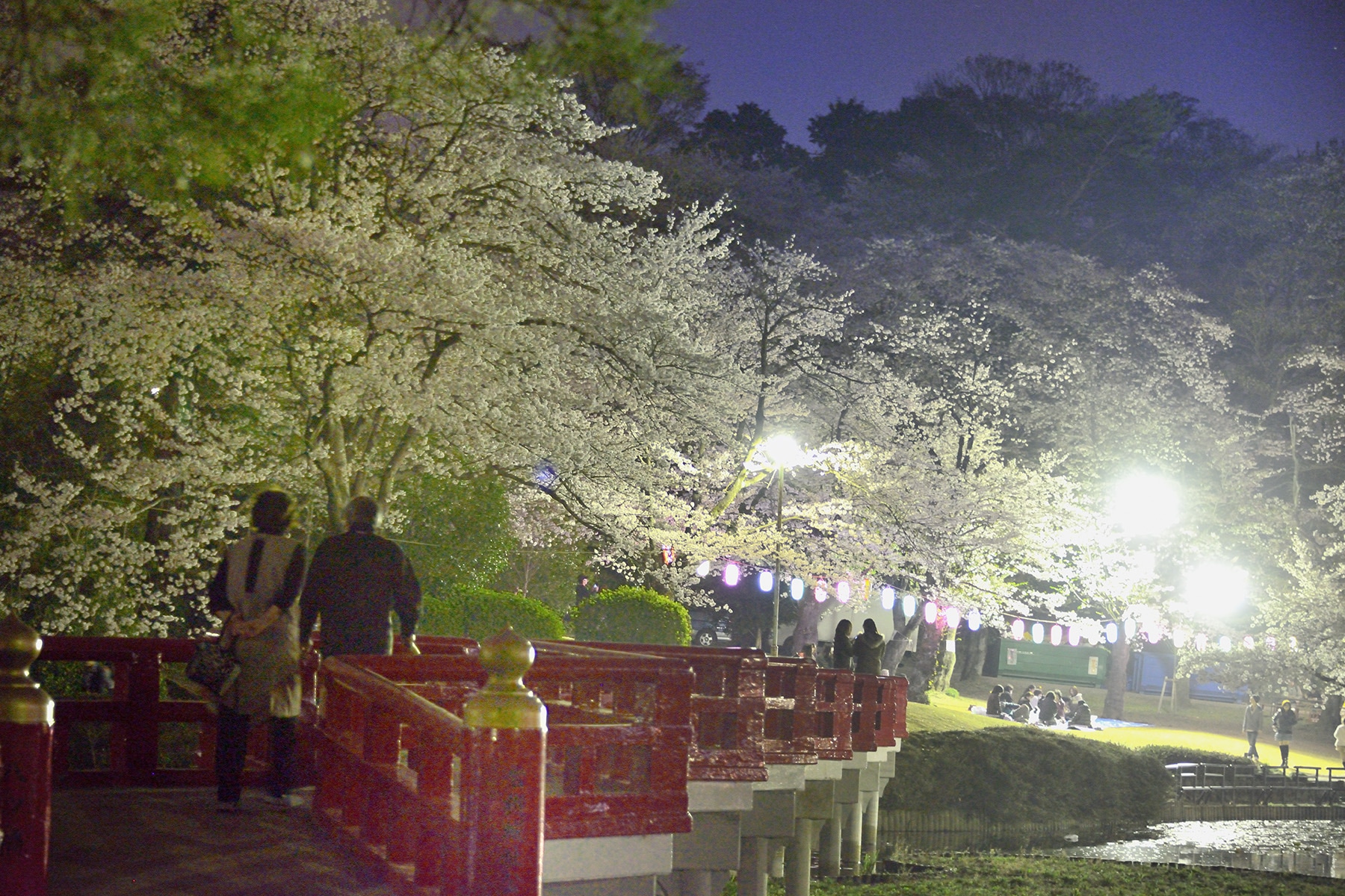 岩槻城跡公園桜まつり 　岩槻城跡公園