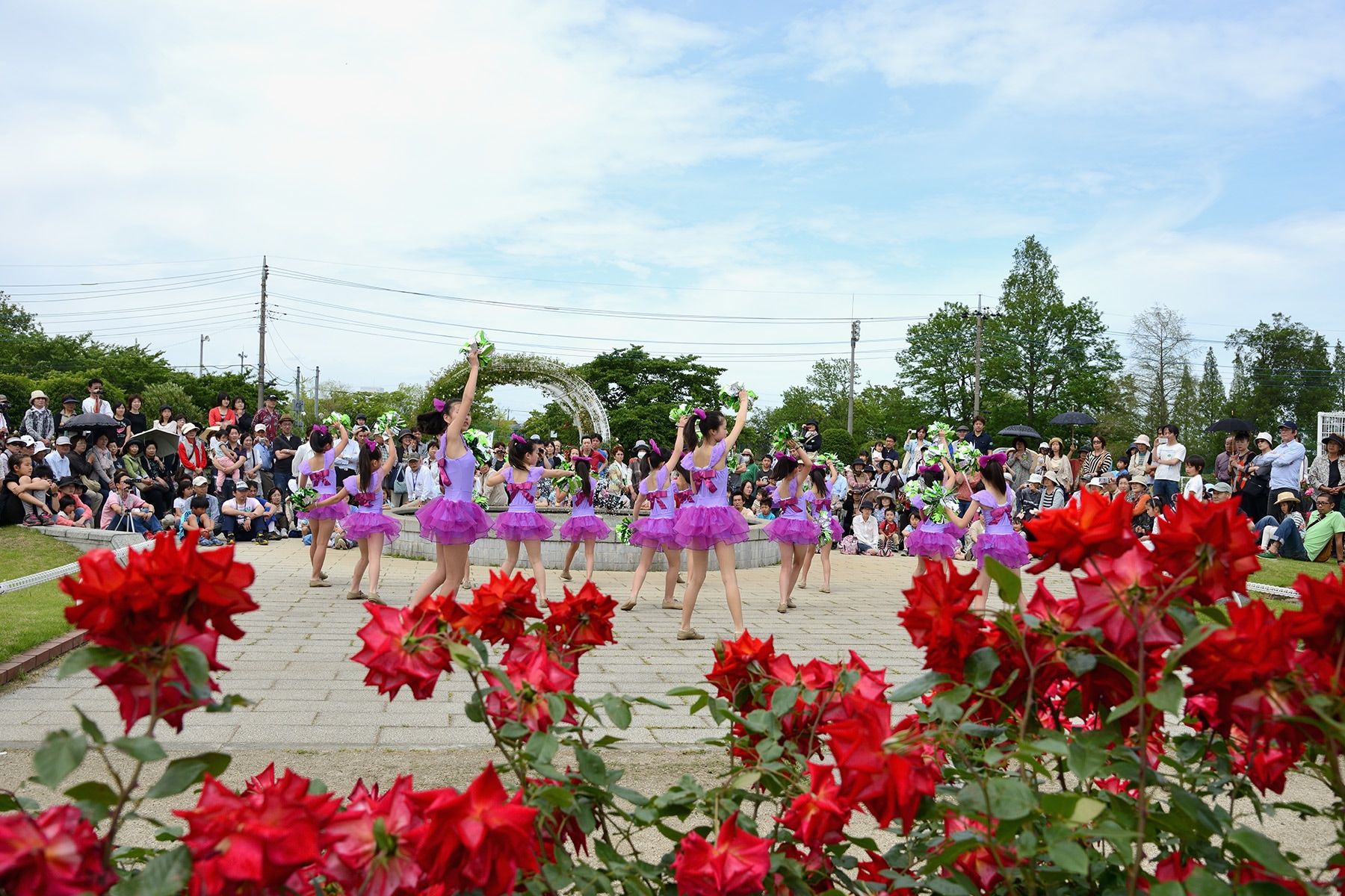 伊奈町バラまつり 　伊奈町制施行記念公園