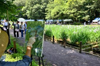 智光山公園花菖蒲まつり