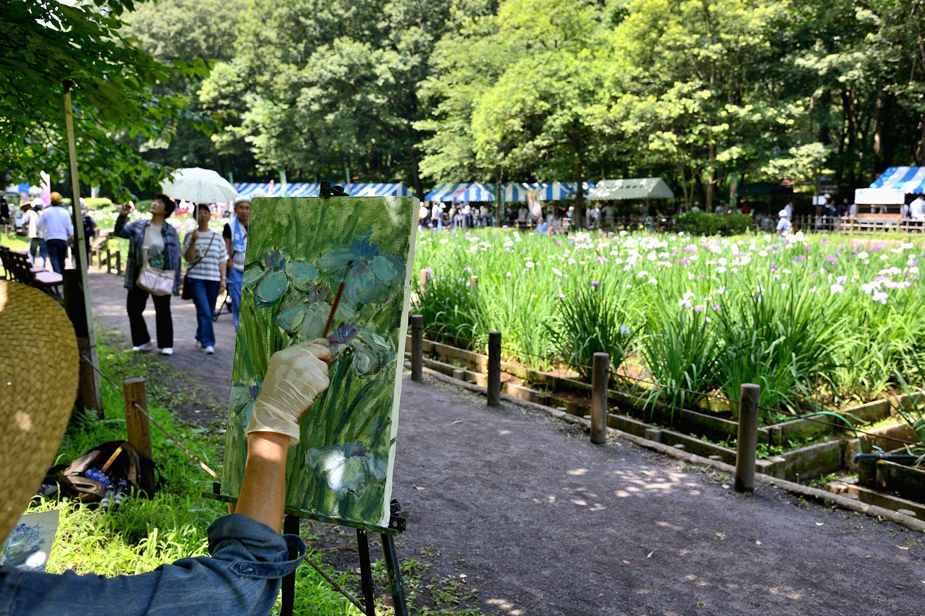 智光山公園花菖蒲まつり