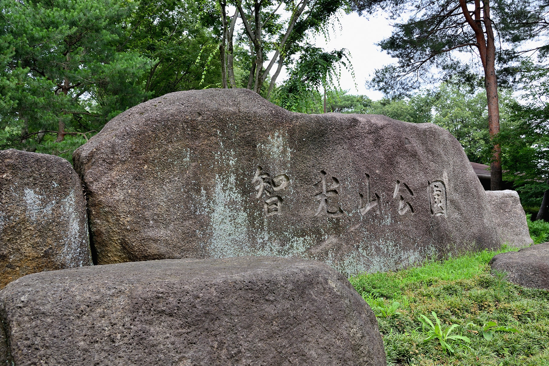 智光山公園花菖蒲まつり