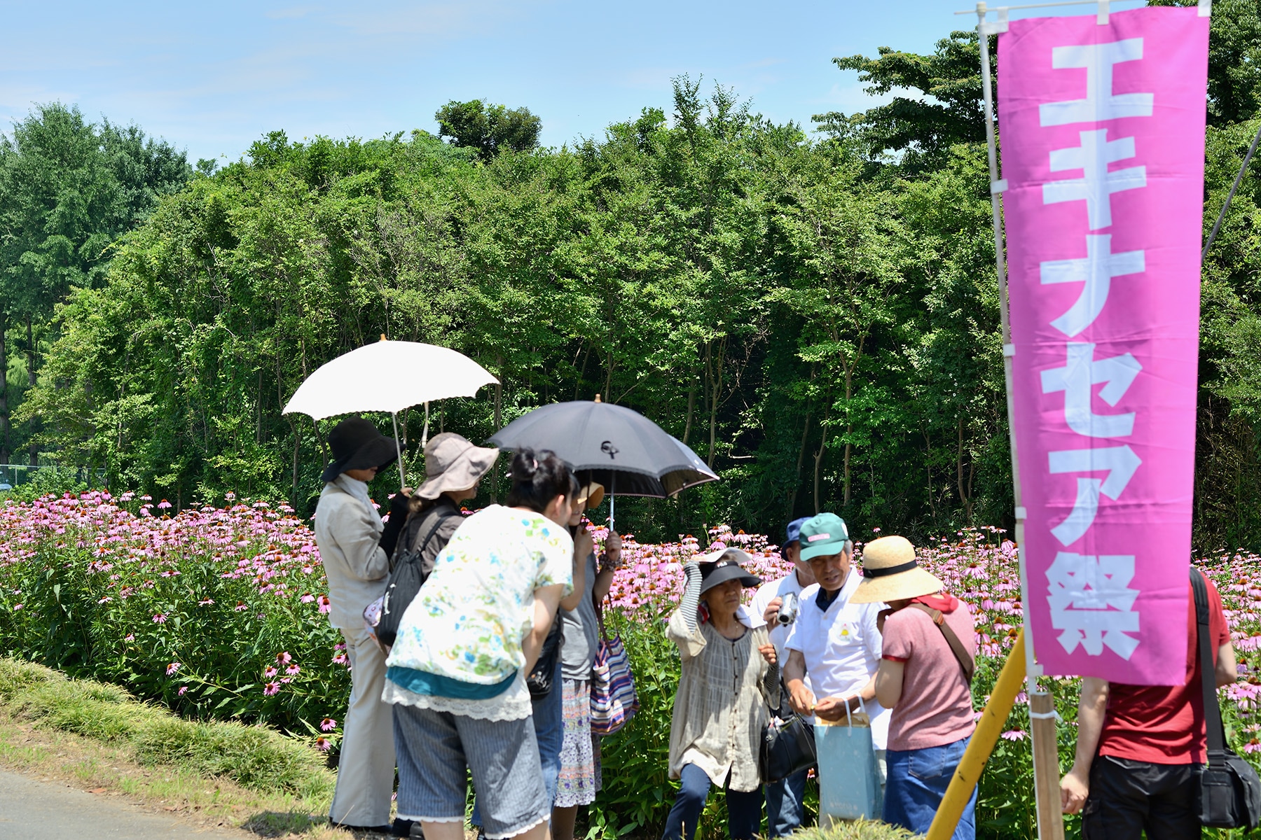 寄居エキナセア祭 里の駅・アグリン館