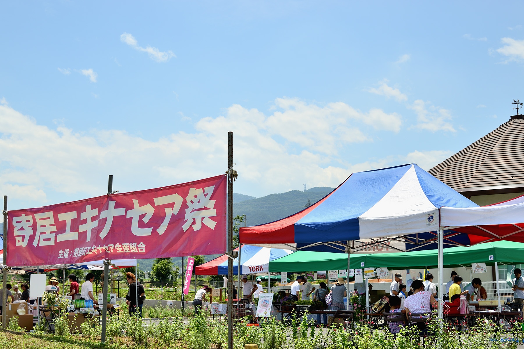 寄居エキナセア祭 里の駅・アグリン館