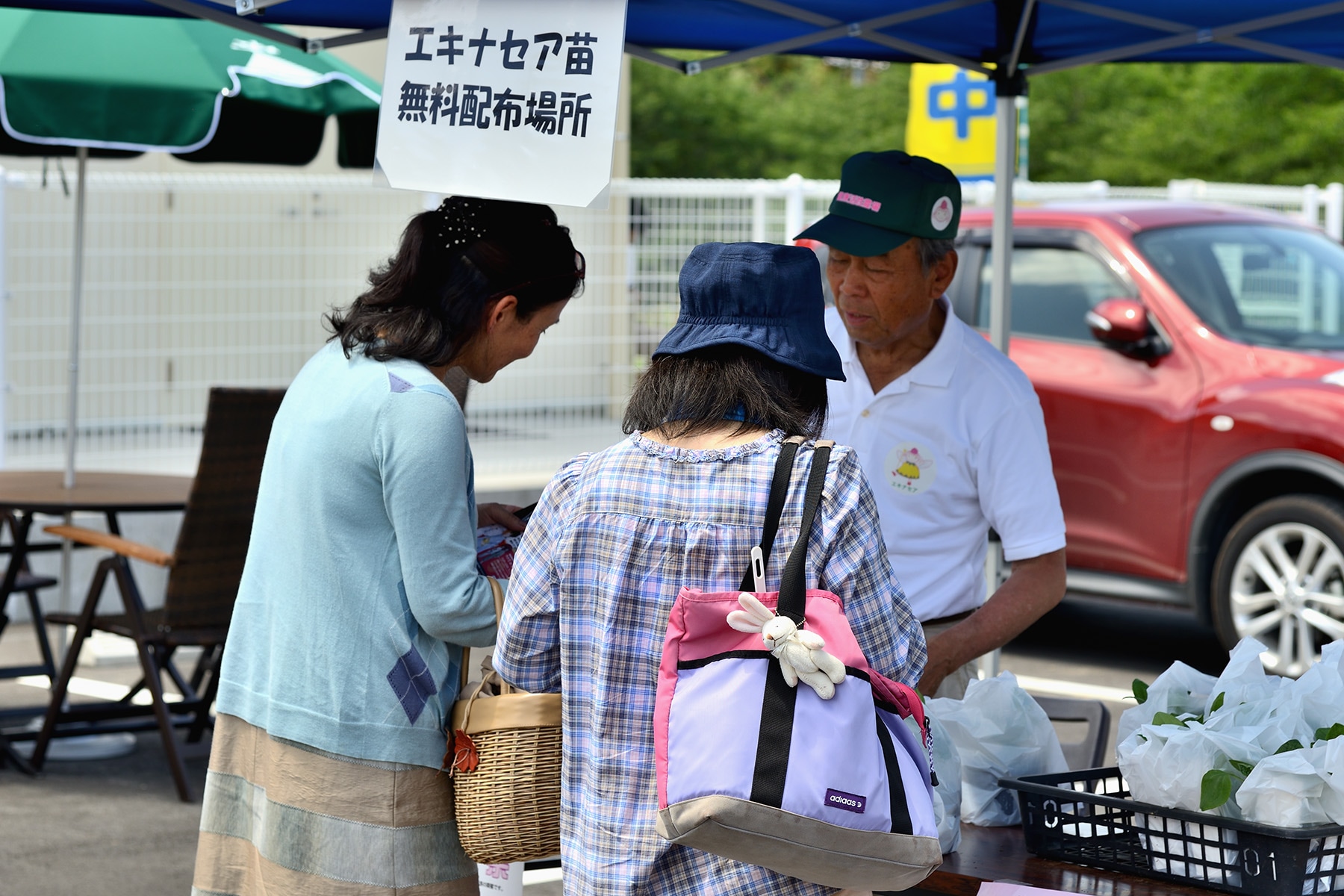 寄居エキナセア祭 里の駅・アグリン館