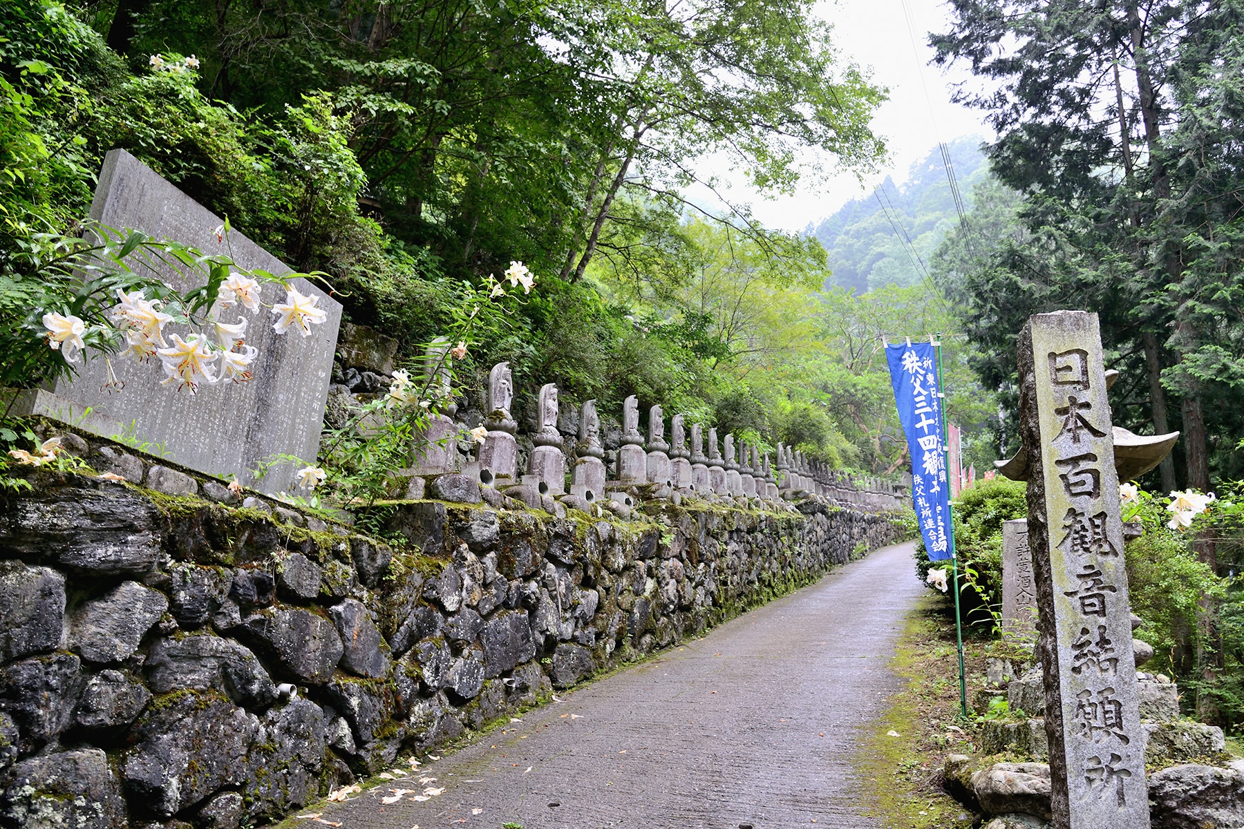 皆野町でヘメロカリス開花 金沢出牛へメロカリス畑