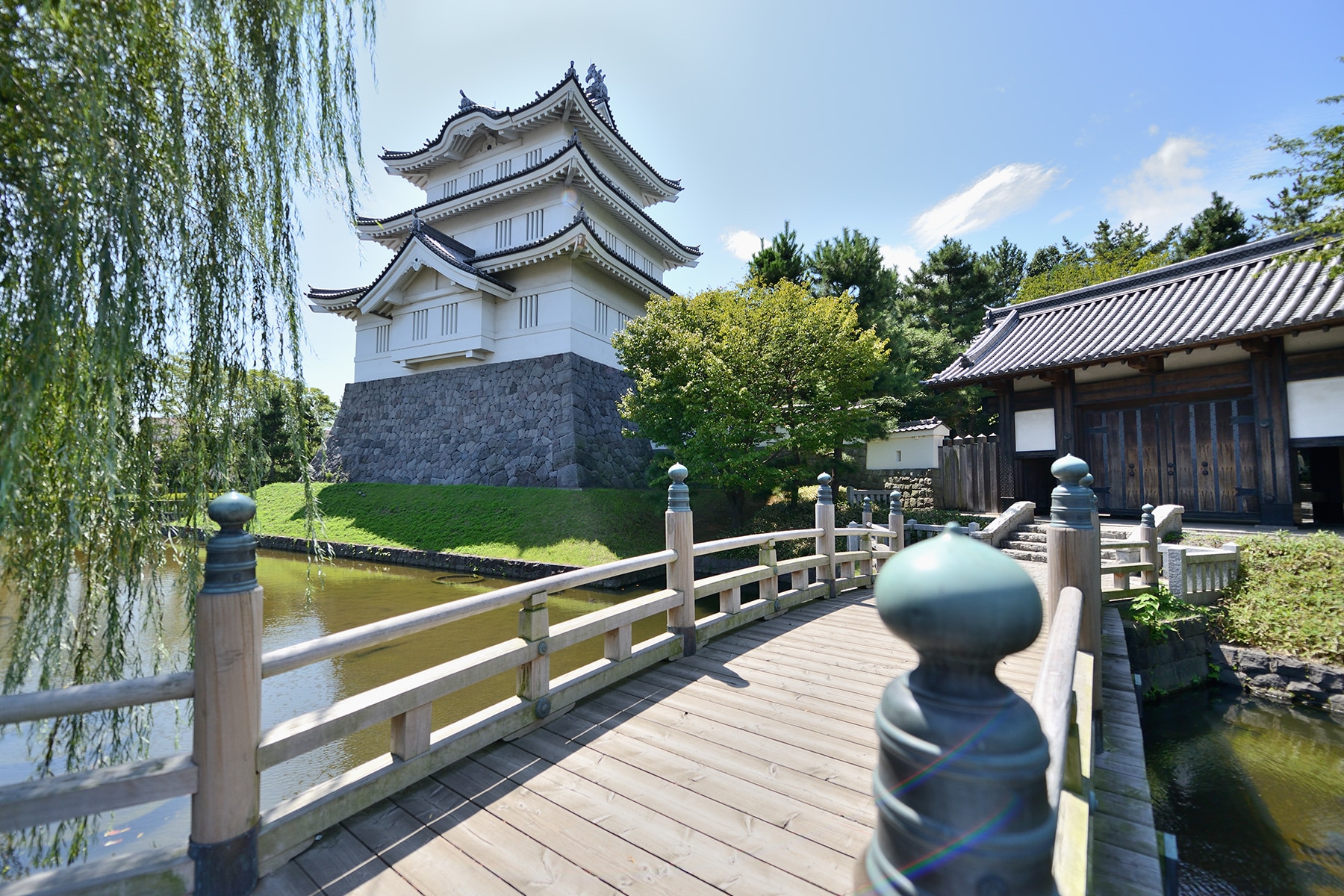 水城公園ホテイアオイ 行田市水城公園