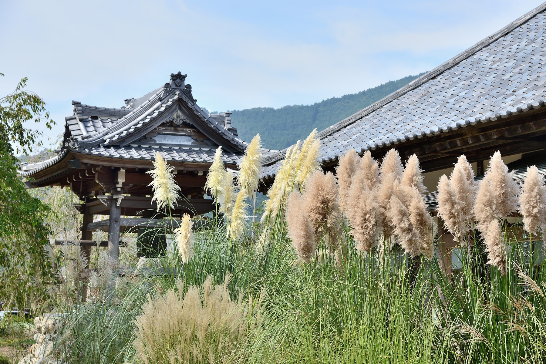 長瀞七草寺めぐり