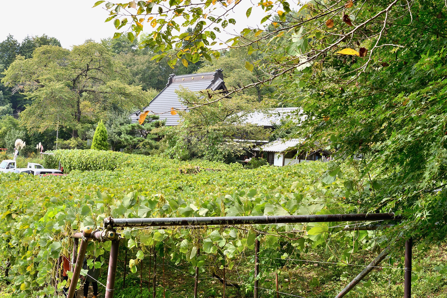 長瀞七草寺めぐり