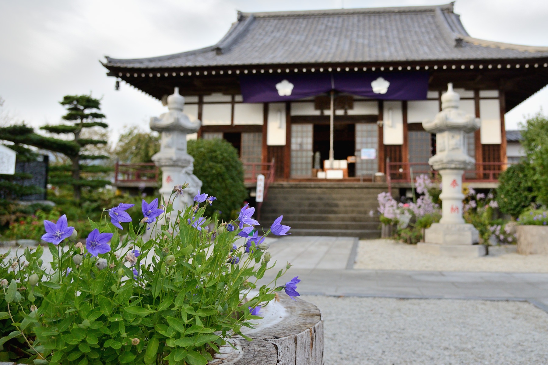 長瀞七草寺めぐり