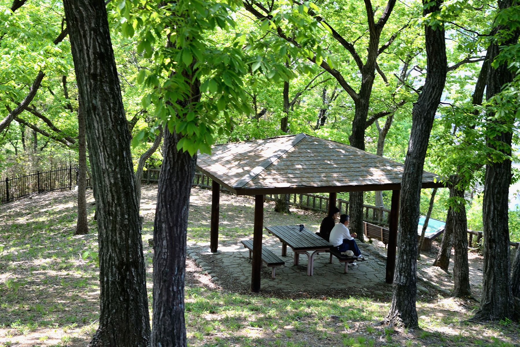 山吹の里 山吹の里歴史公園