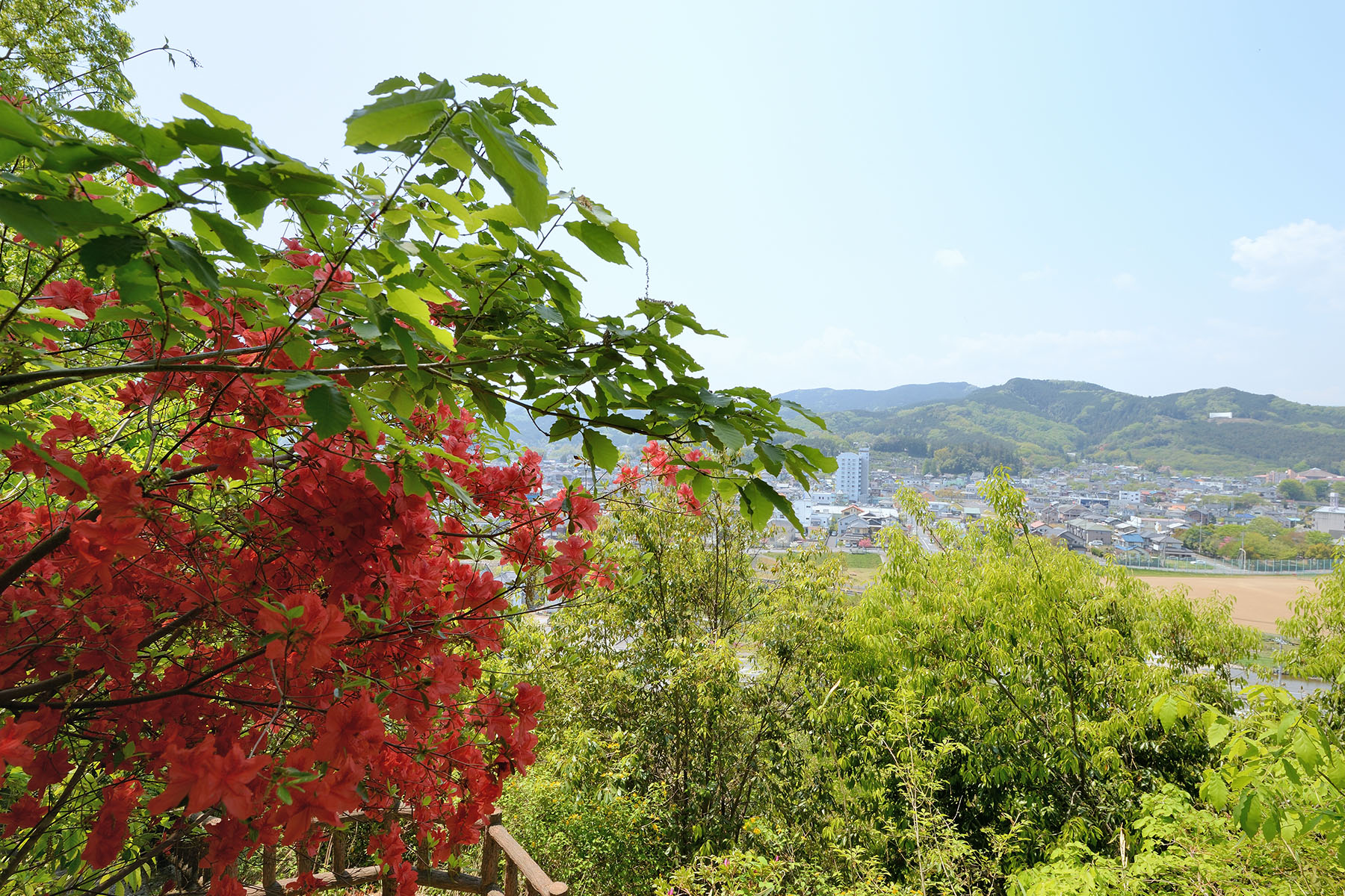 山吹の里 山吹の里歴史公園