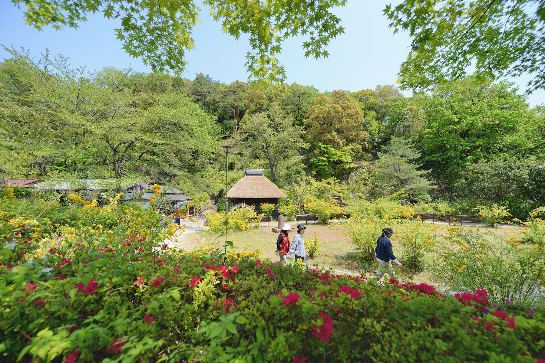 山吹の里 山吹の里歴史公園