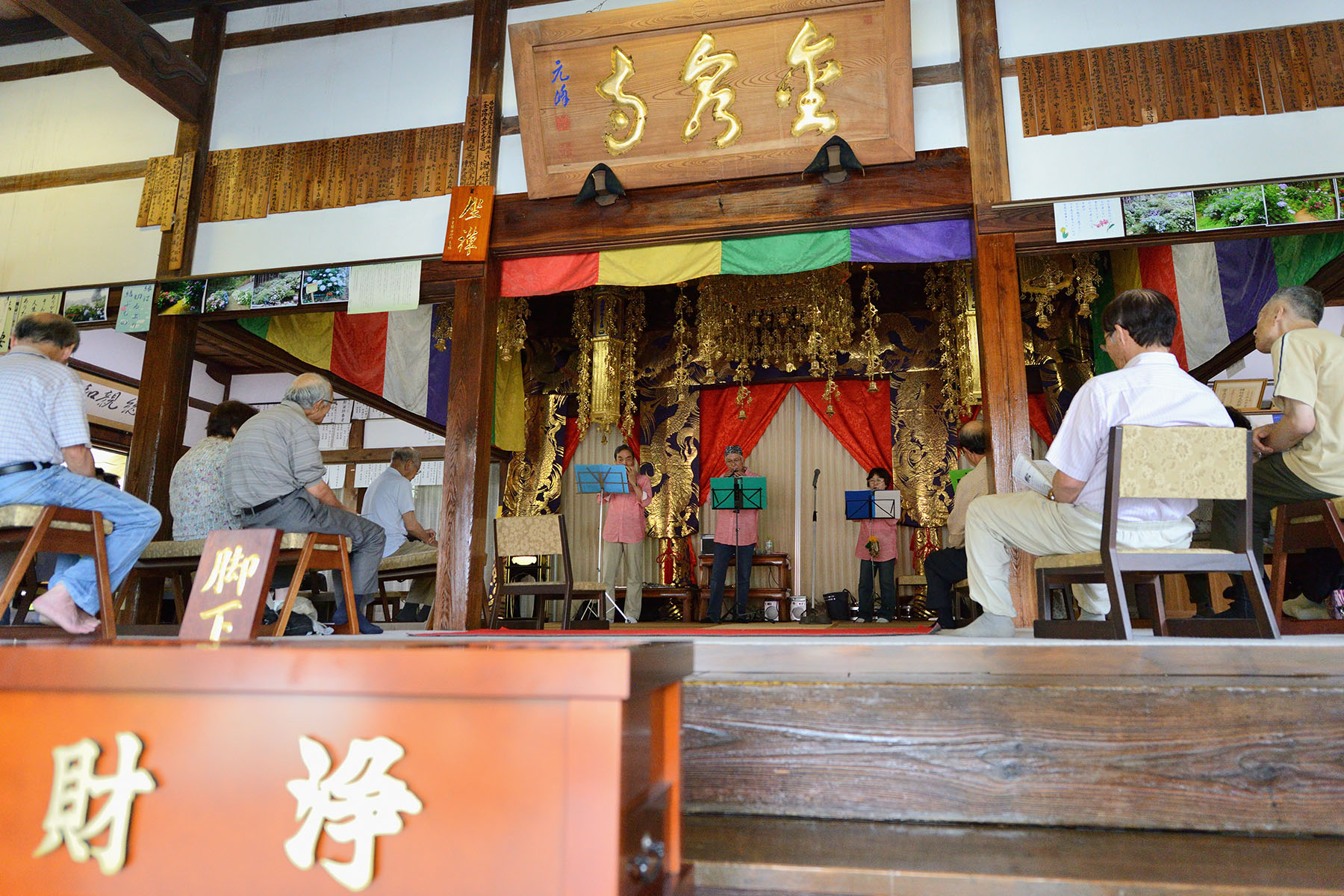 金泉寺の紫陽花（アジサイ） 大龍山 金泉寺