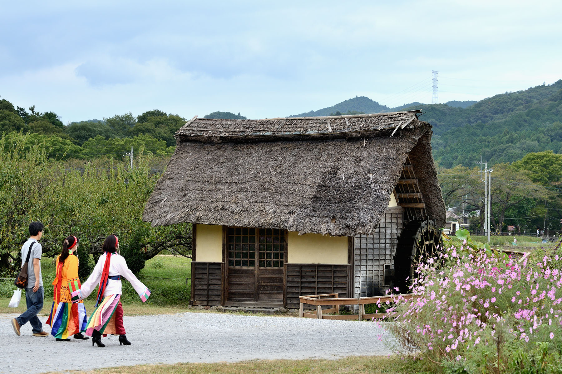 にじのパレード2014秋 日高市巾着田