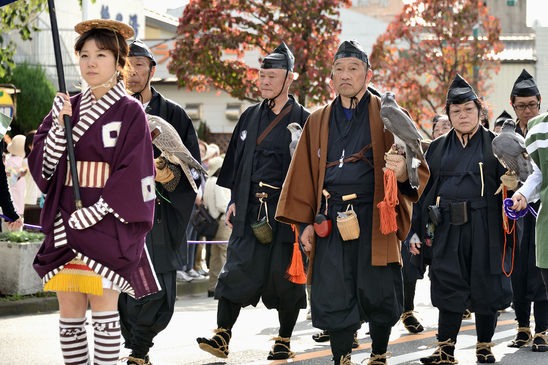 城下町岩槻鷹狩り行列 岩槻御成街道周辺