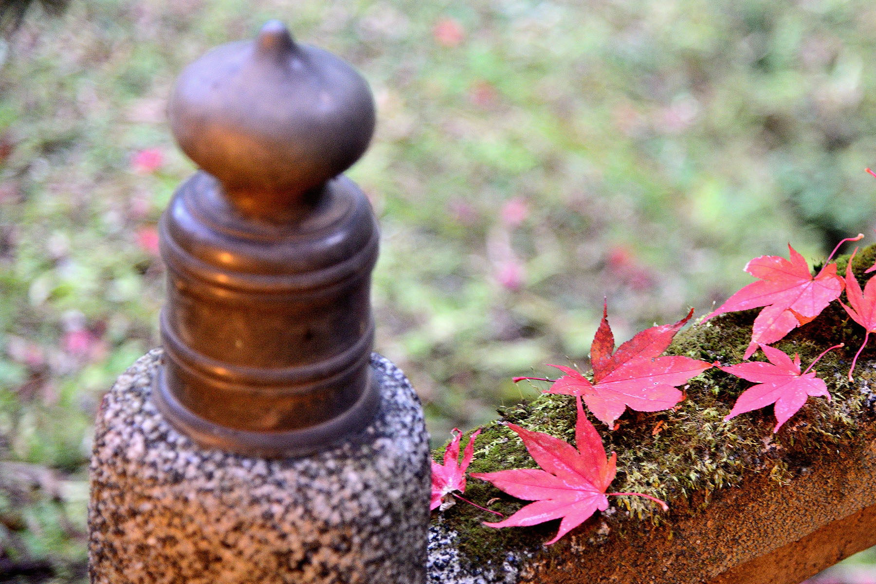 秩父御嶽神社の紅葉 東郷公園秩父御嶽神社