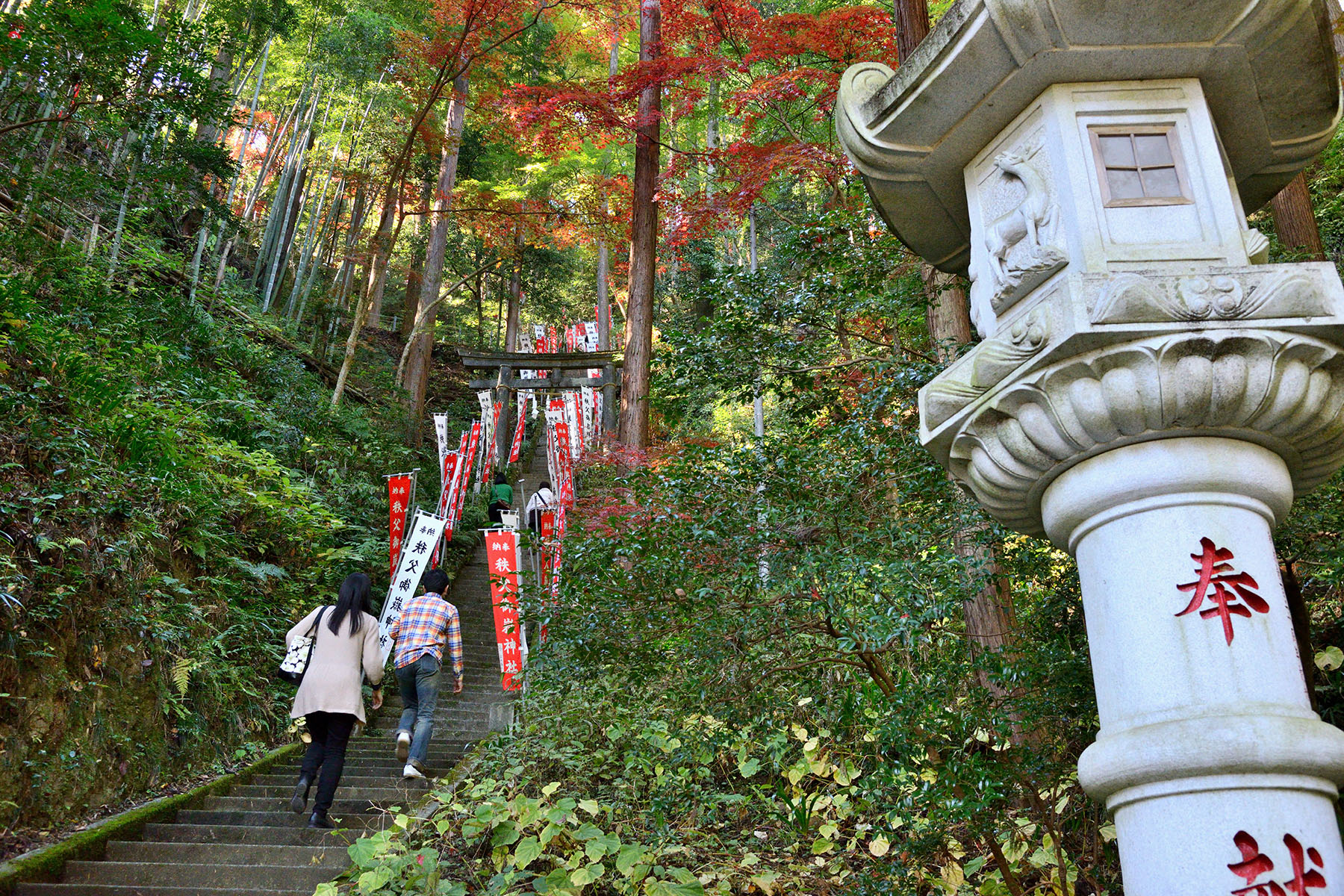 秩父御嶽神社の紅葉 東郷公園秩父御嶽神社