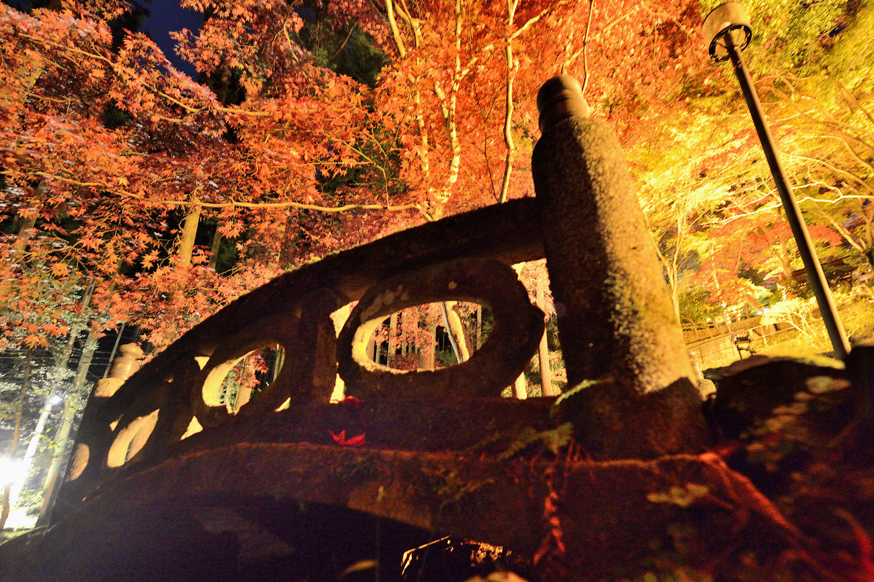 秩父御嶽神社の紅葉 東郷公園秩父御嶽神社