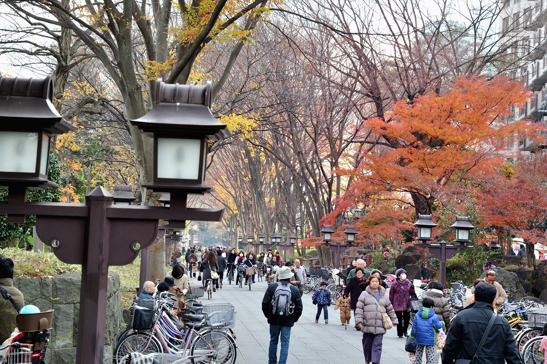 大宮氷川神社十日市 大宮氷川神社参道