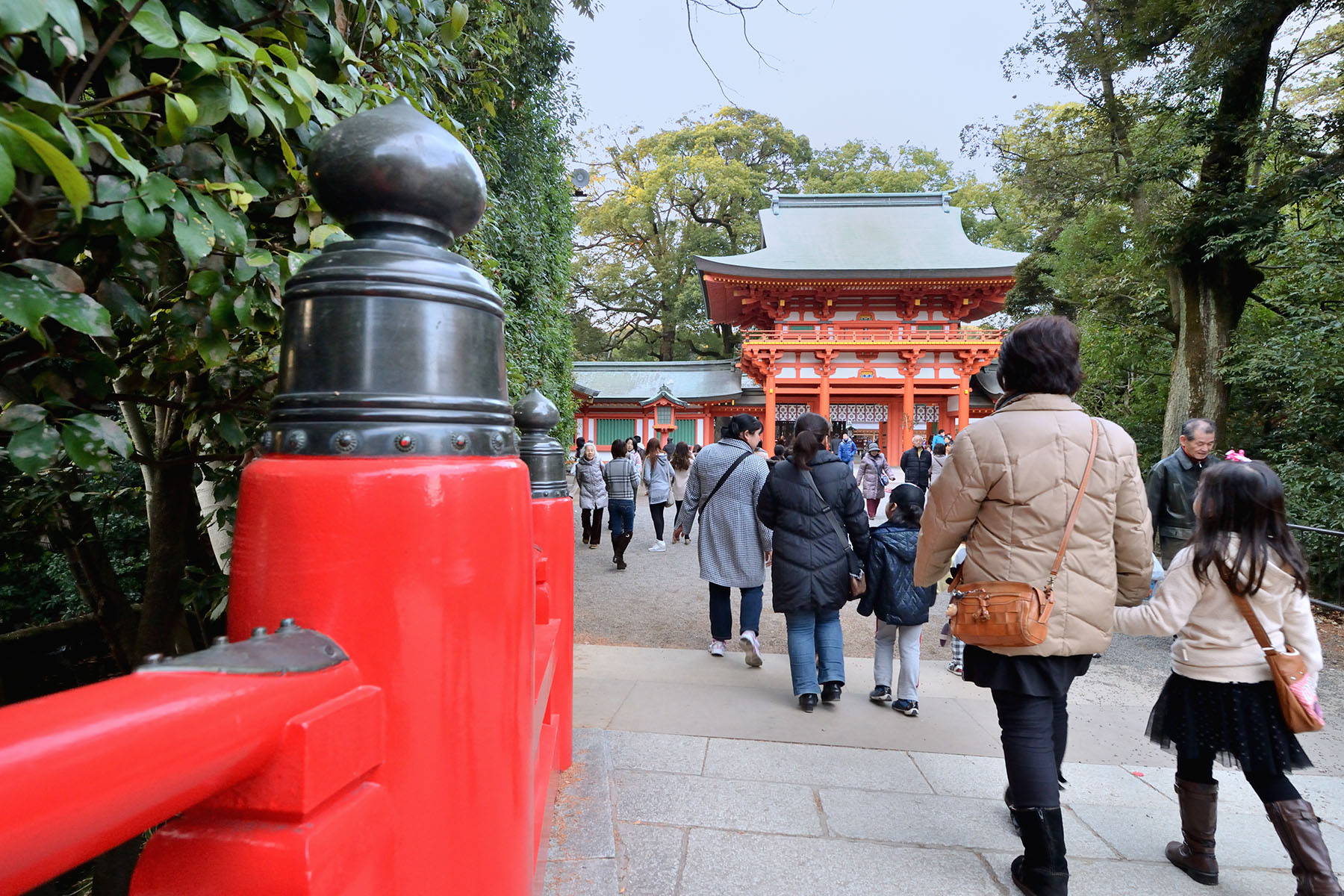 大宮氷川神社十日市 大宮氷川神社参道