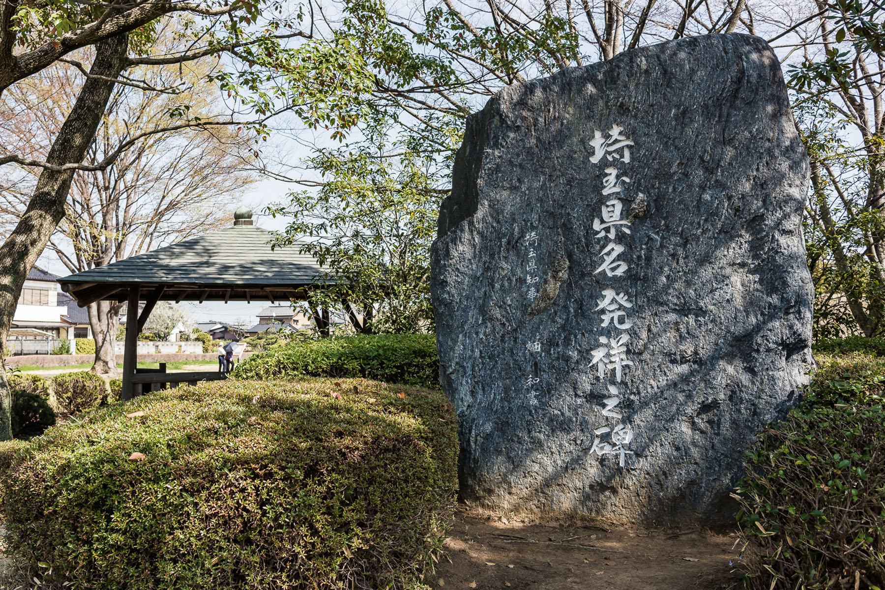 丸墓山古墳の桜 さきたま古墳公園