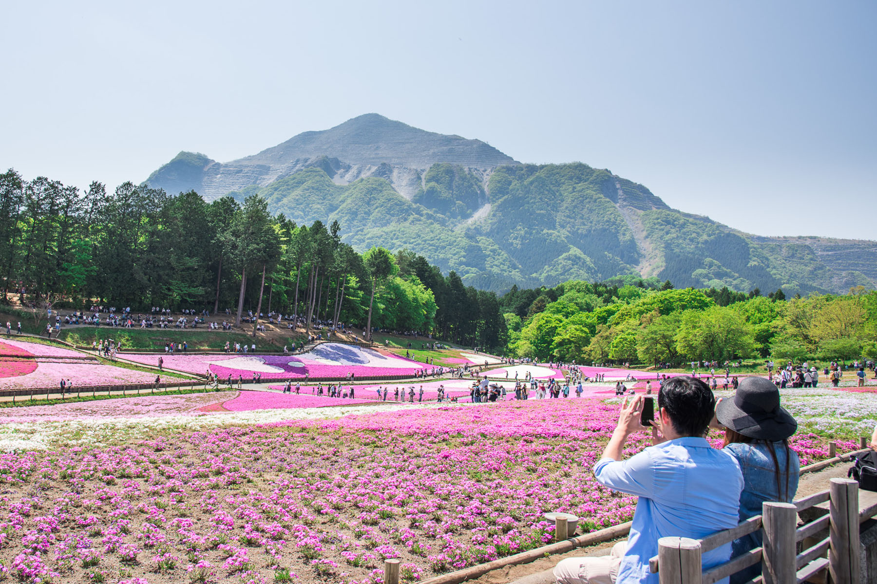 芝桜まつり 秩父市羊山公園「芝桜の丘」