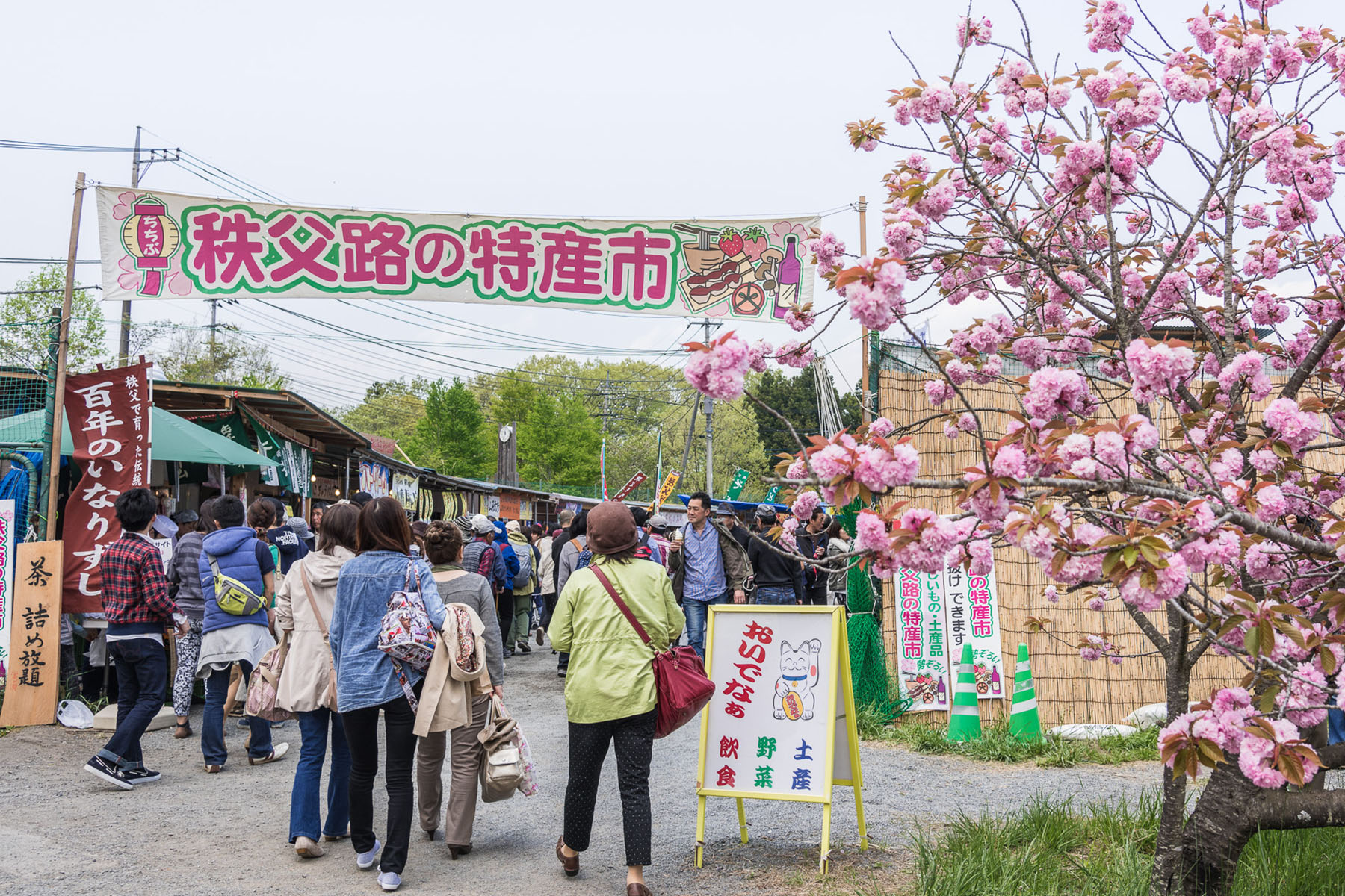 芝桜まつり 秩父市羊山公園「芝桜の丘」