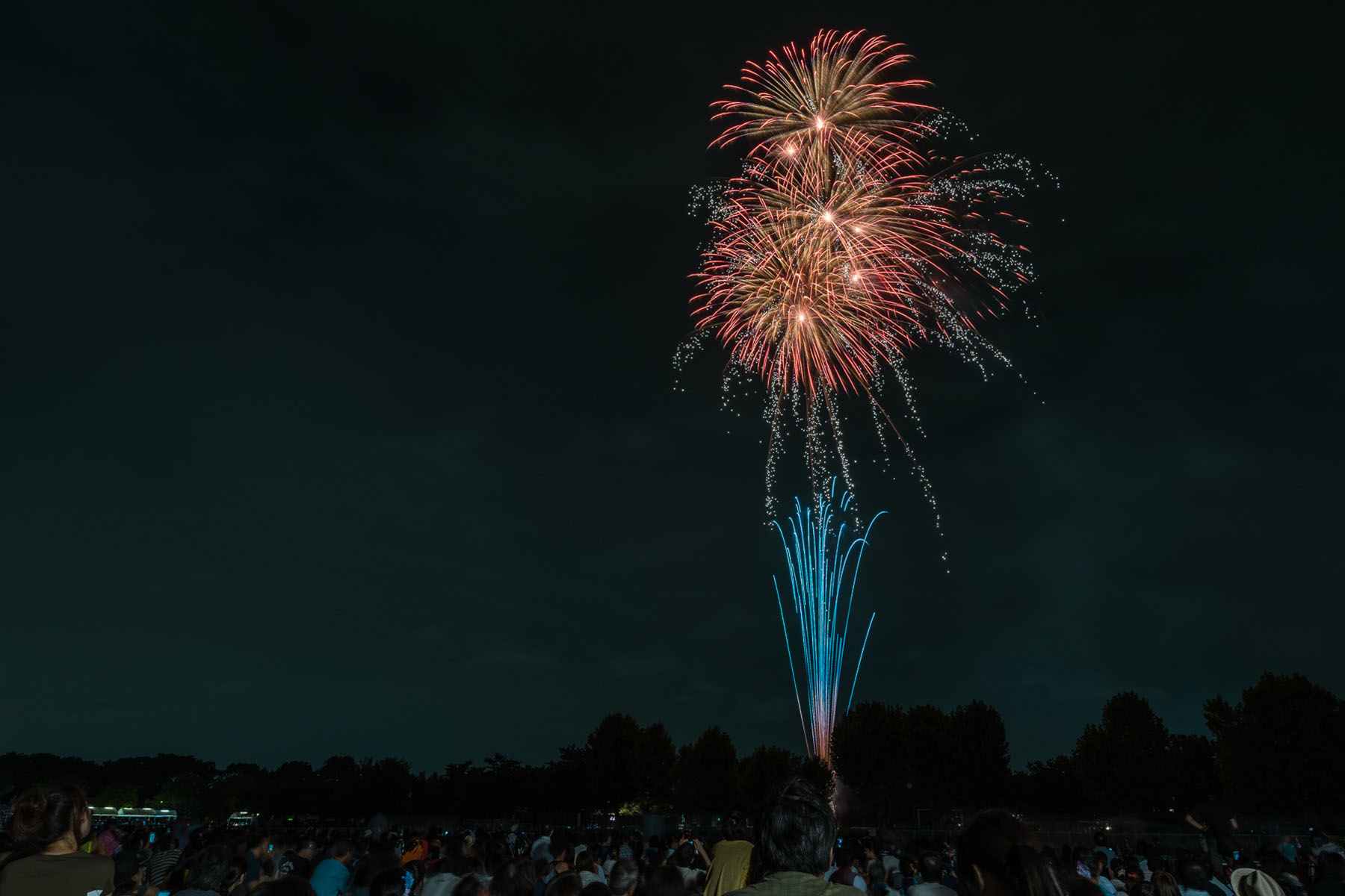 さいたま市花火大会 東浦和大間木公園会場