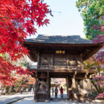 平林寺の紅葉 平林寺境内林