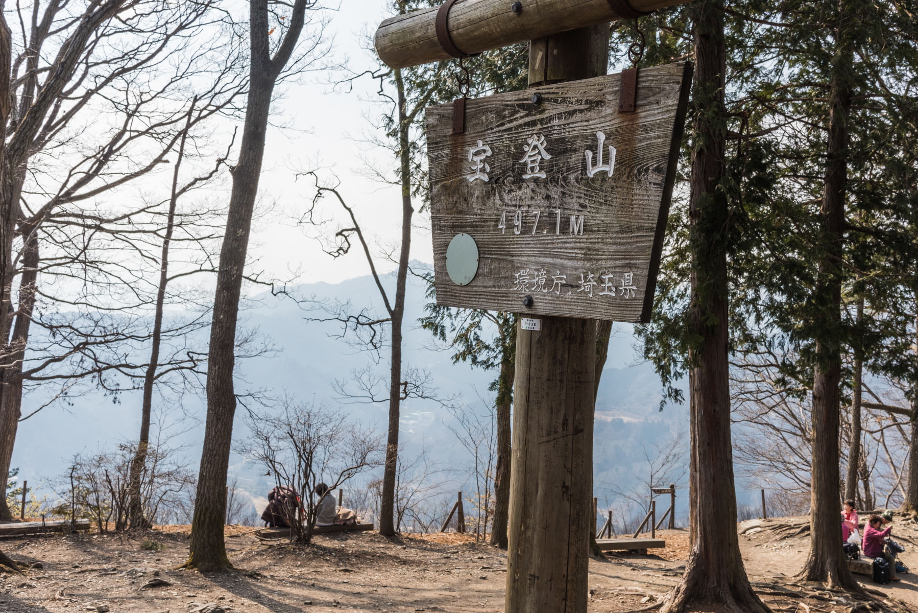 宝登山の臘梅（ロウバイ） 長瀞町宝登山ロウバイ園