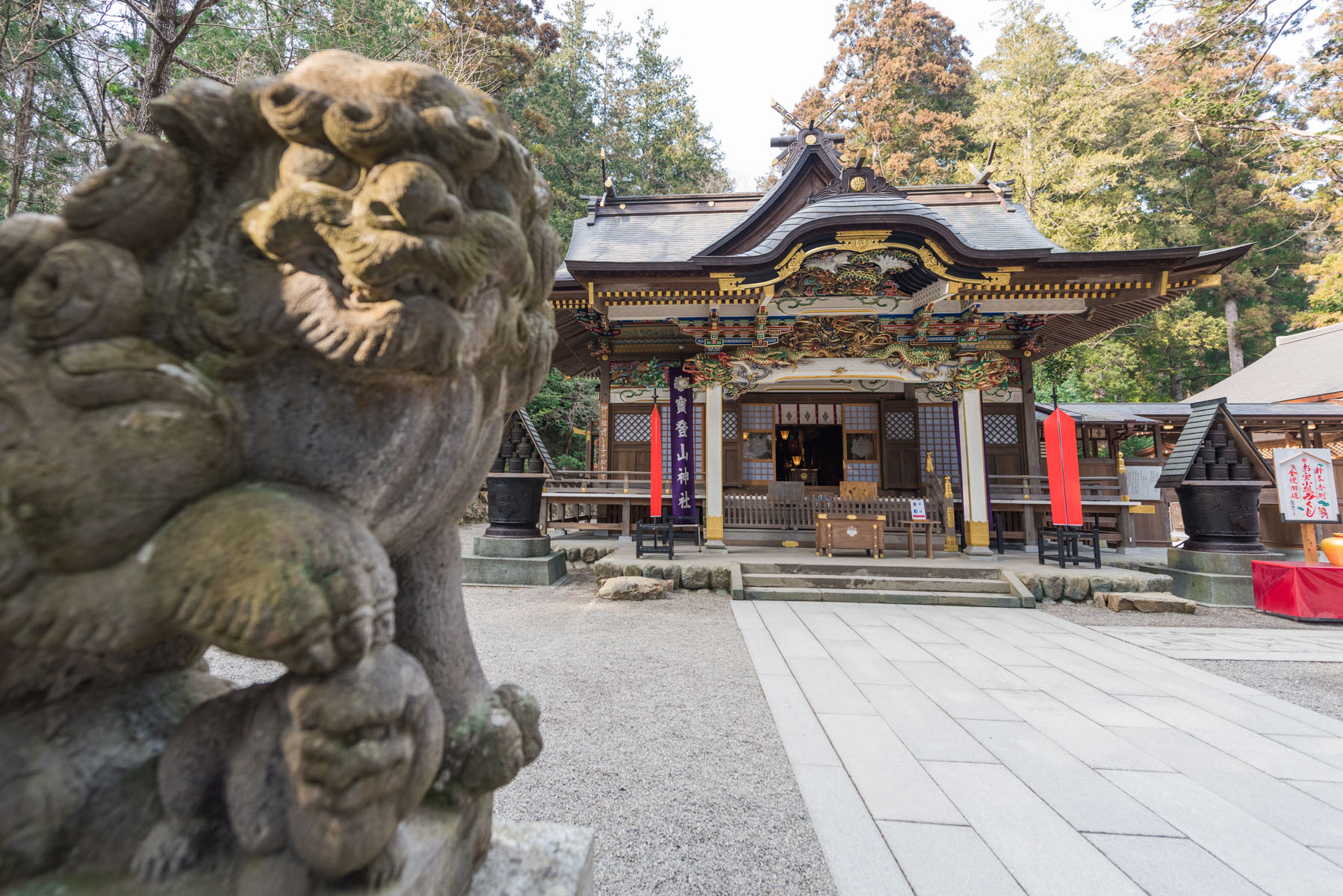 宝登山の臘梅（ロウバイ） 長瀞町宝登山ロウバイ園