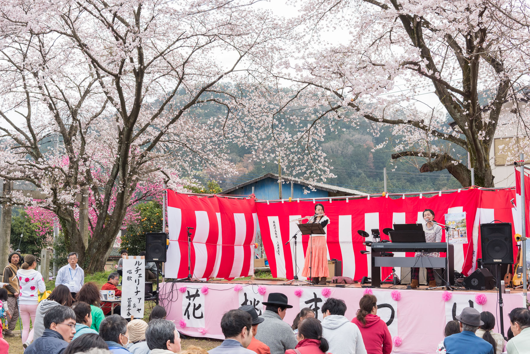 ときがわ 花桃の里 八幡神社周辺