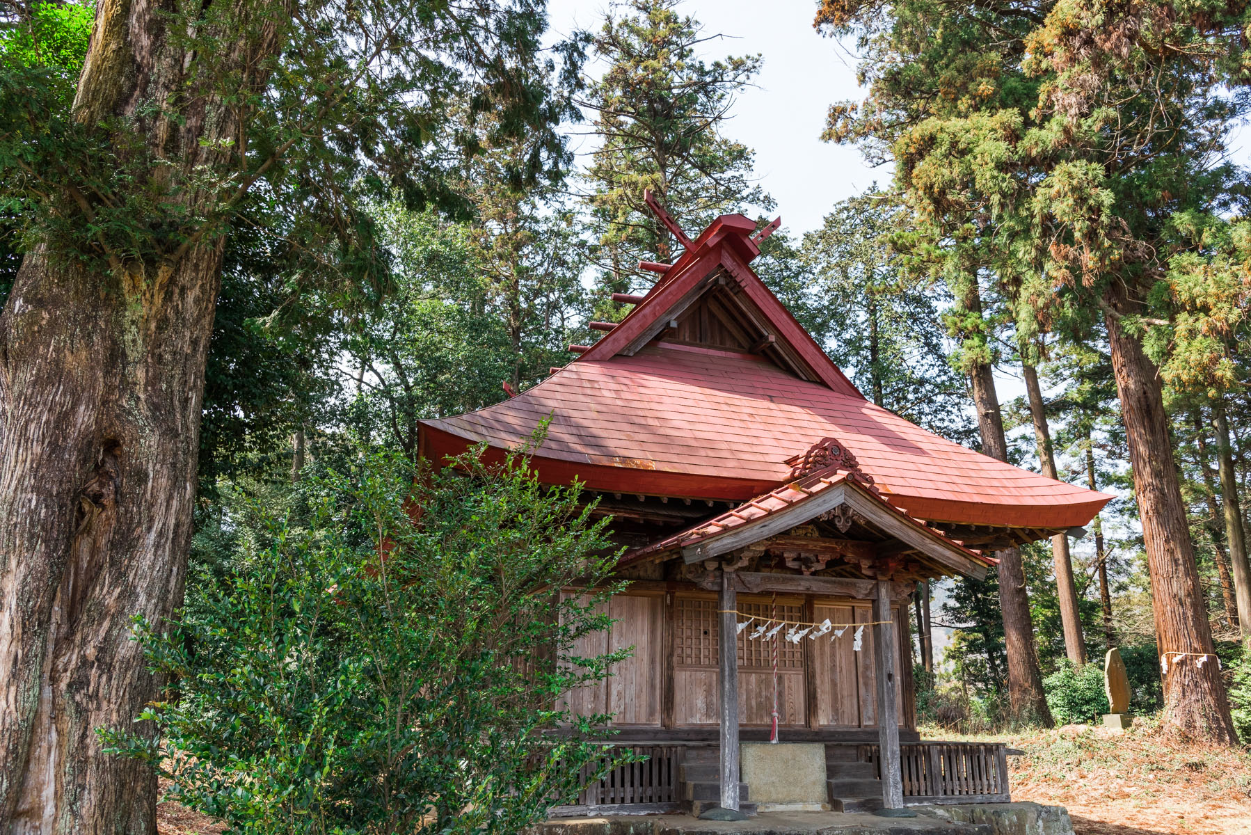 ときがわ 花桃の里 八幡神社周辺