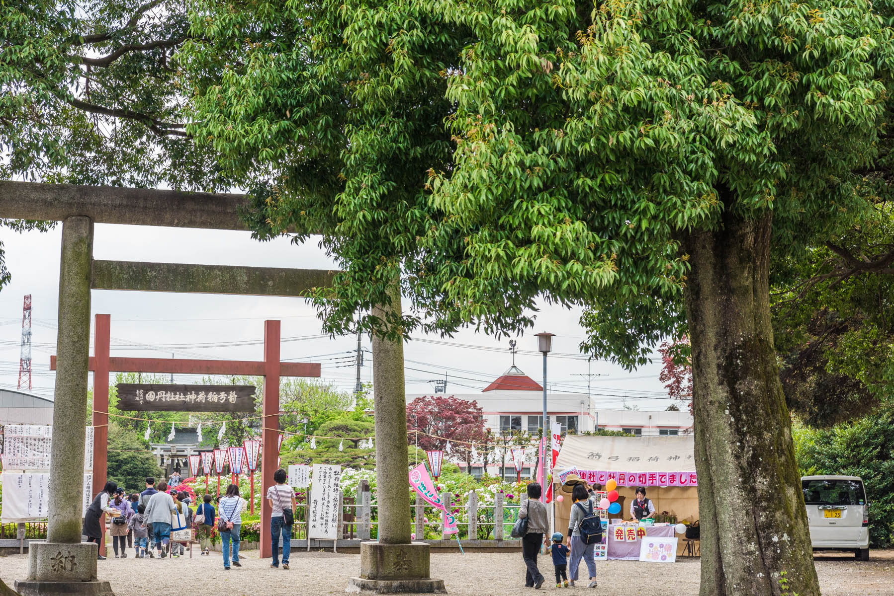 箭弓稲荷神社ぼたん祭 箭弓稲荷神社