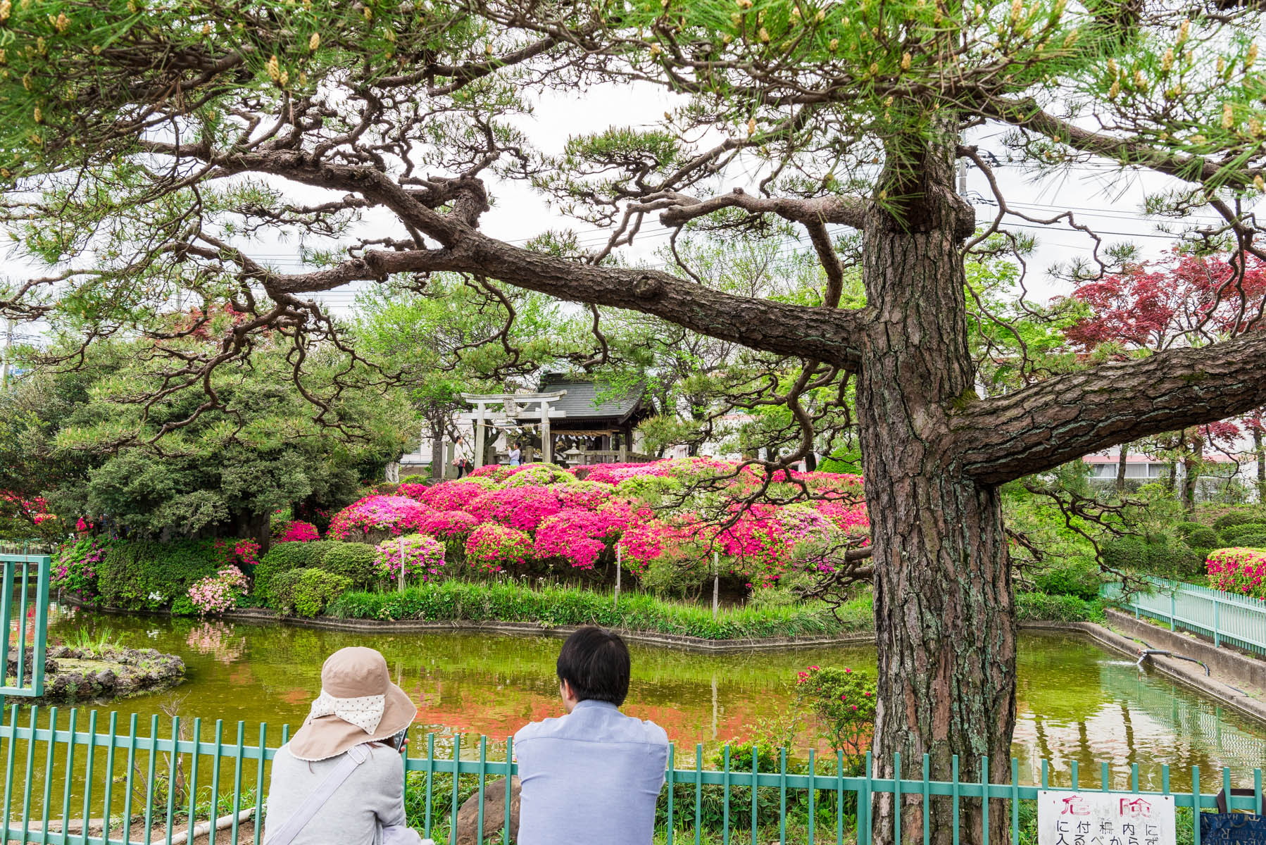 箭弓稲荷神社ぼたん祭 箭弓稲荷神社