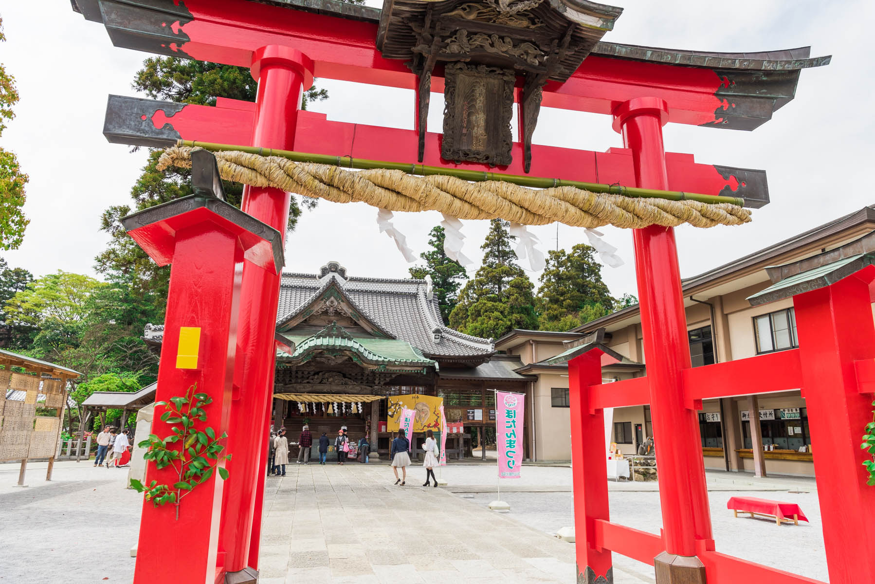 箭弓稲荷神社ぼたん祭 箭弓稲荷神社