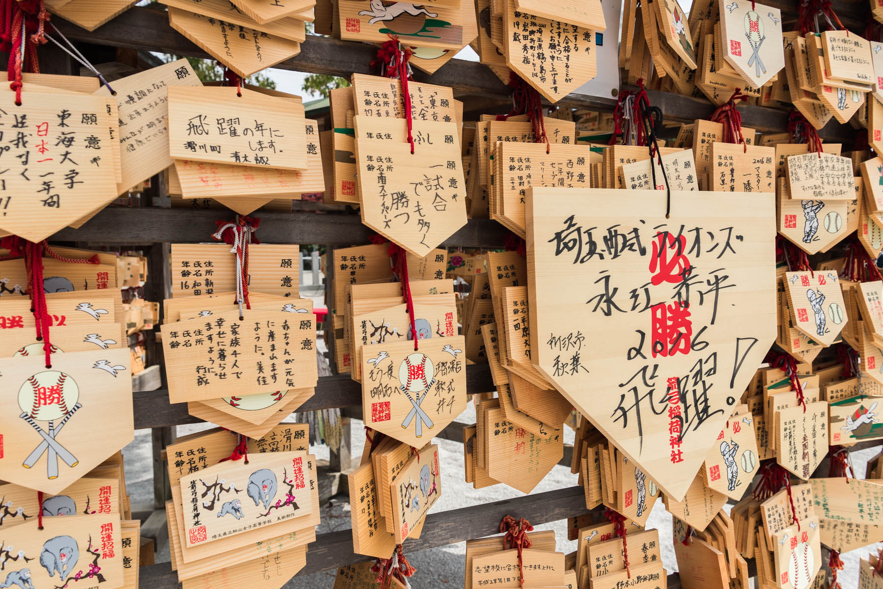 箭弓稲荷神社ぼたん祭 箭弓稲荷神社