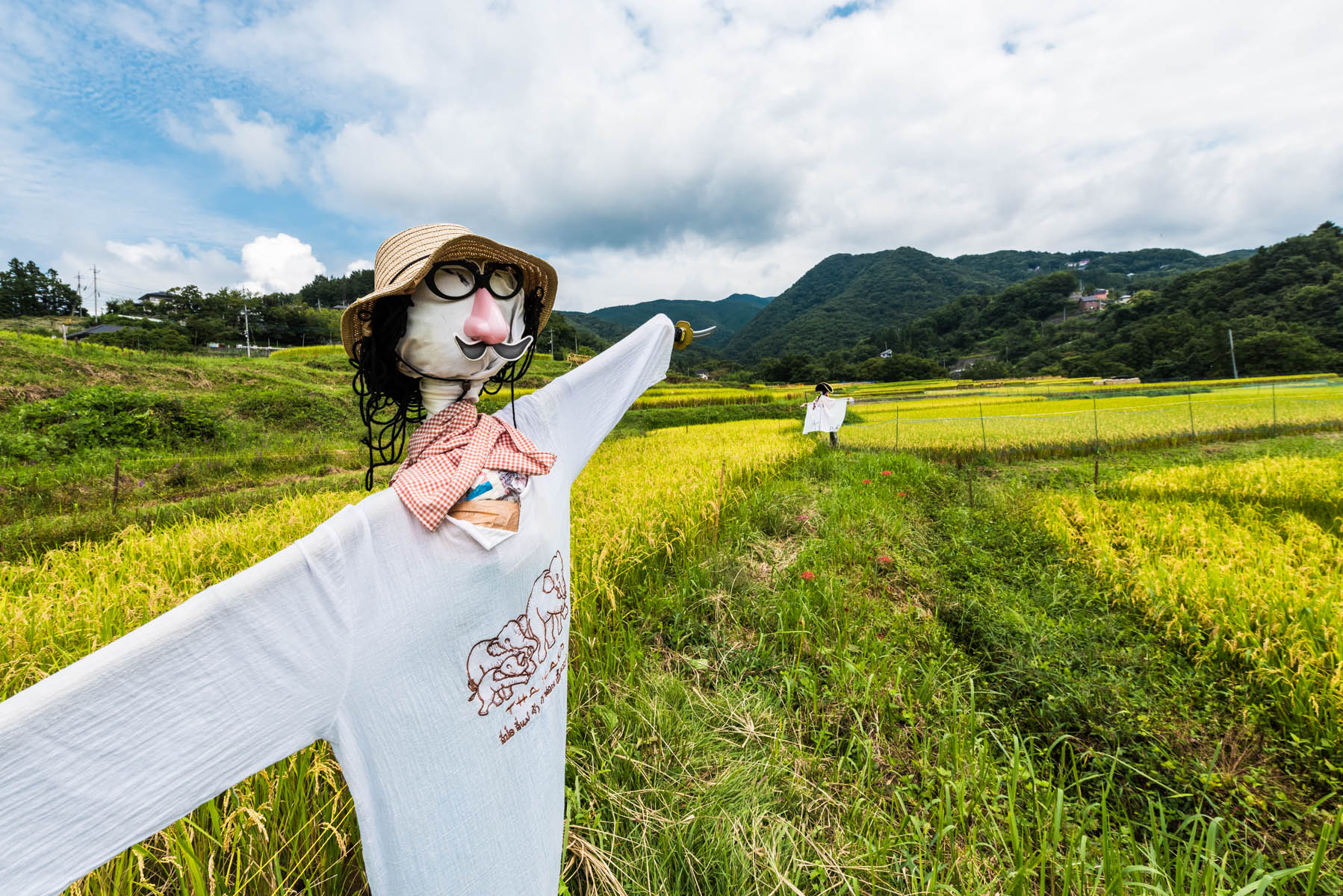 寺坂棚田の稲穂と彼岸花 横瀬町寺坂棚田