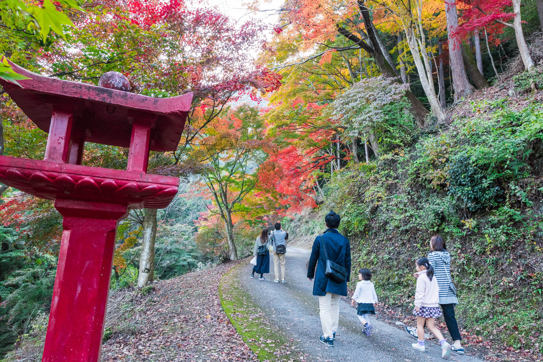 なぐり紅葉まつり 白雲山 鳥居観音