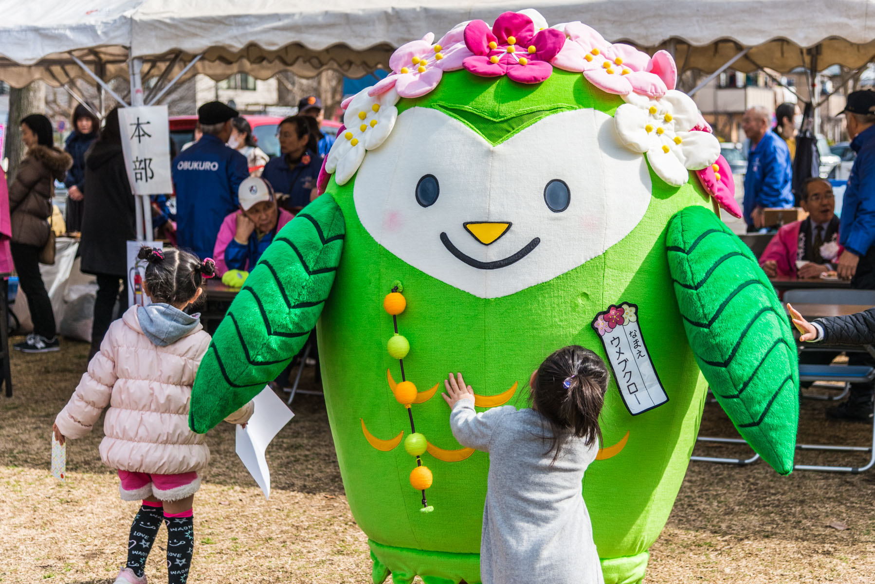 越谷梅林公園梅まつり