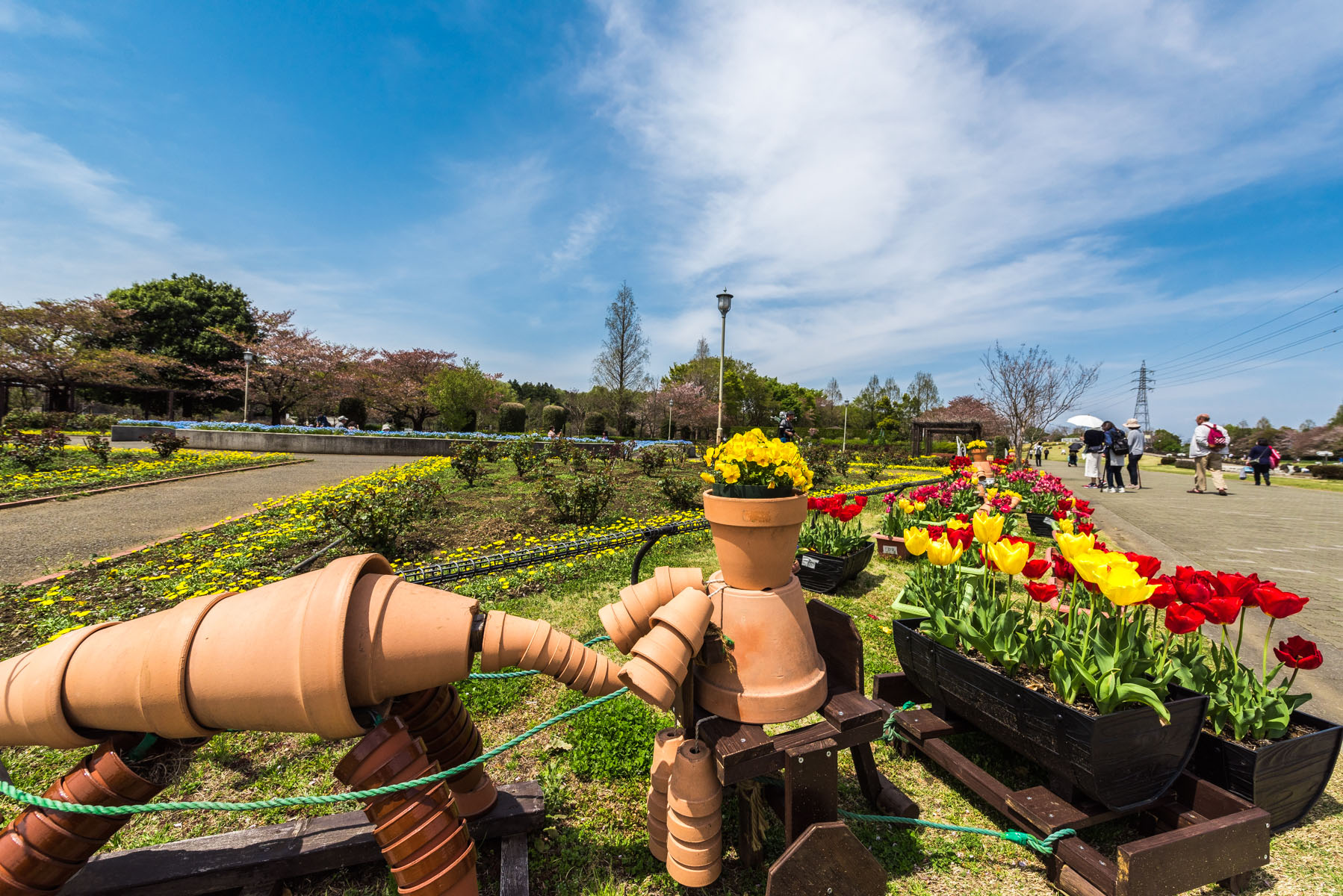 大宮花の丘農林公苑のチューリップ