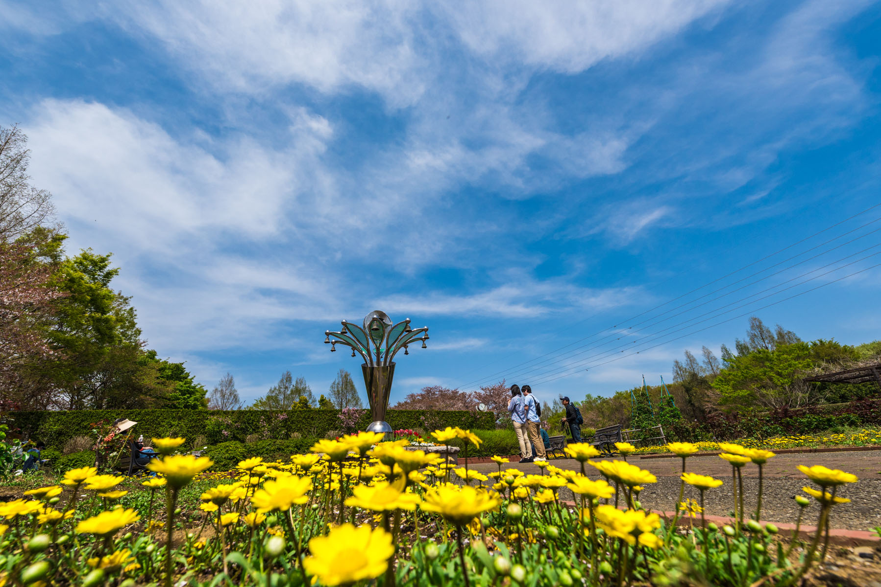 大宮花の丘農林公苑のチューリップ