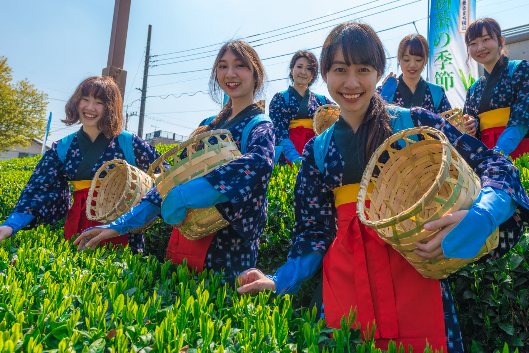 狭山新茶と花いっぱいまつり 狭山市役所庁舎ロータリー