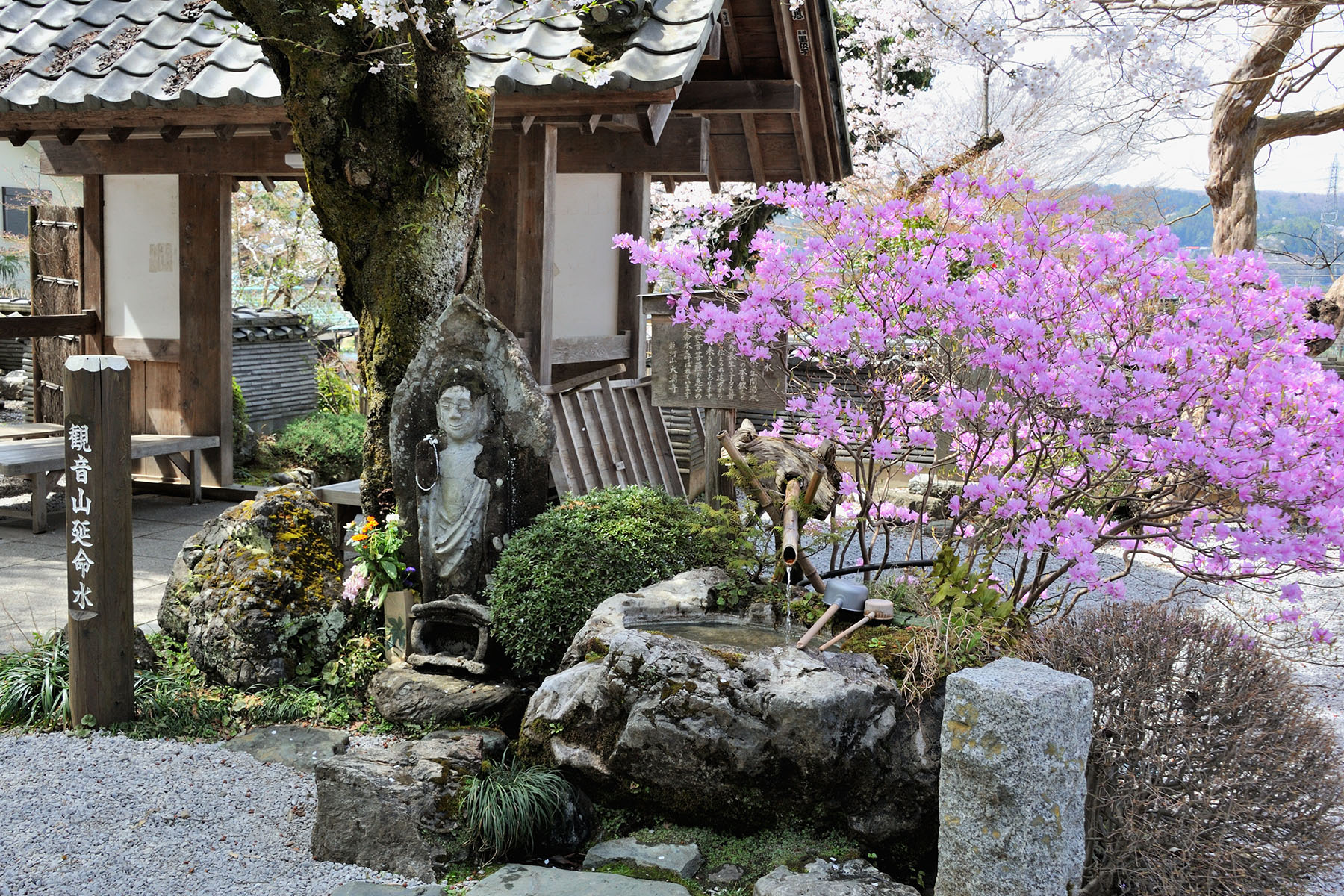 秩父札所二十七番　　龍河山・大渕寺