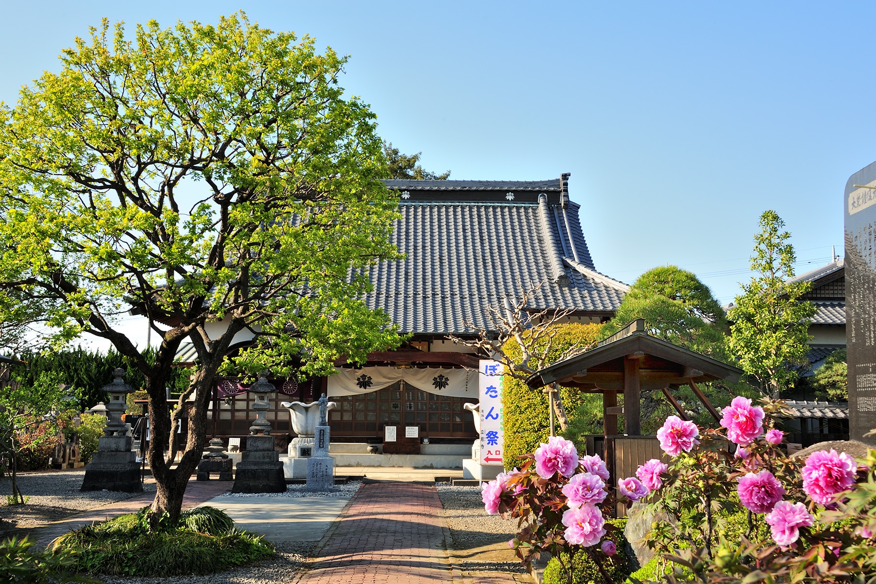 ボタン（牡丹）寺 滝瀬山正法院・立岩寺