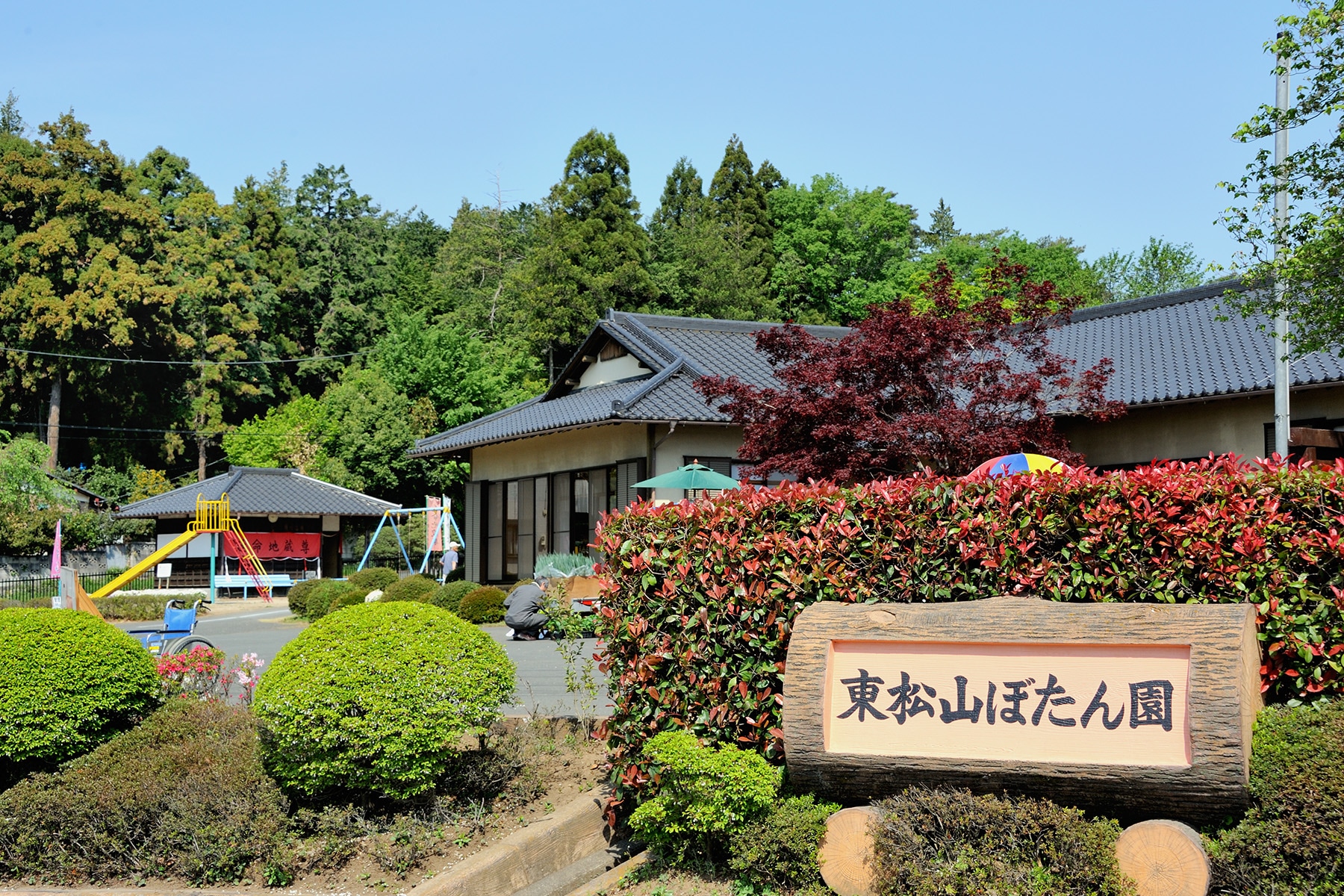 東松山ボタン（牡丹）園