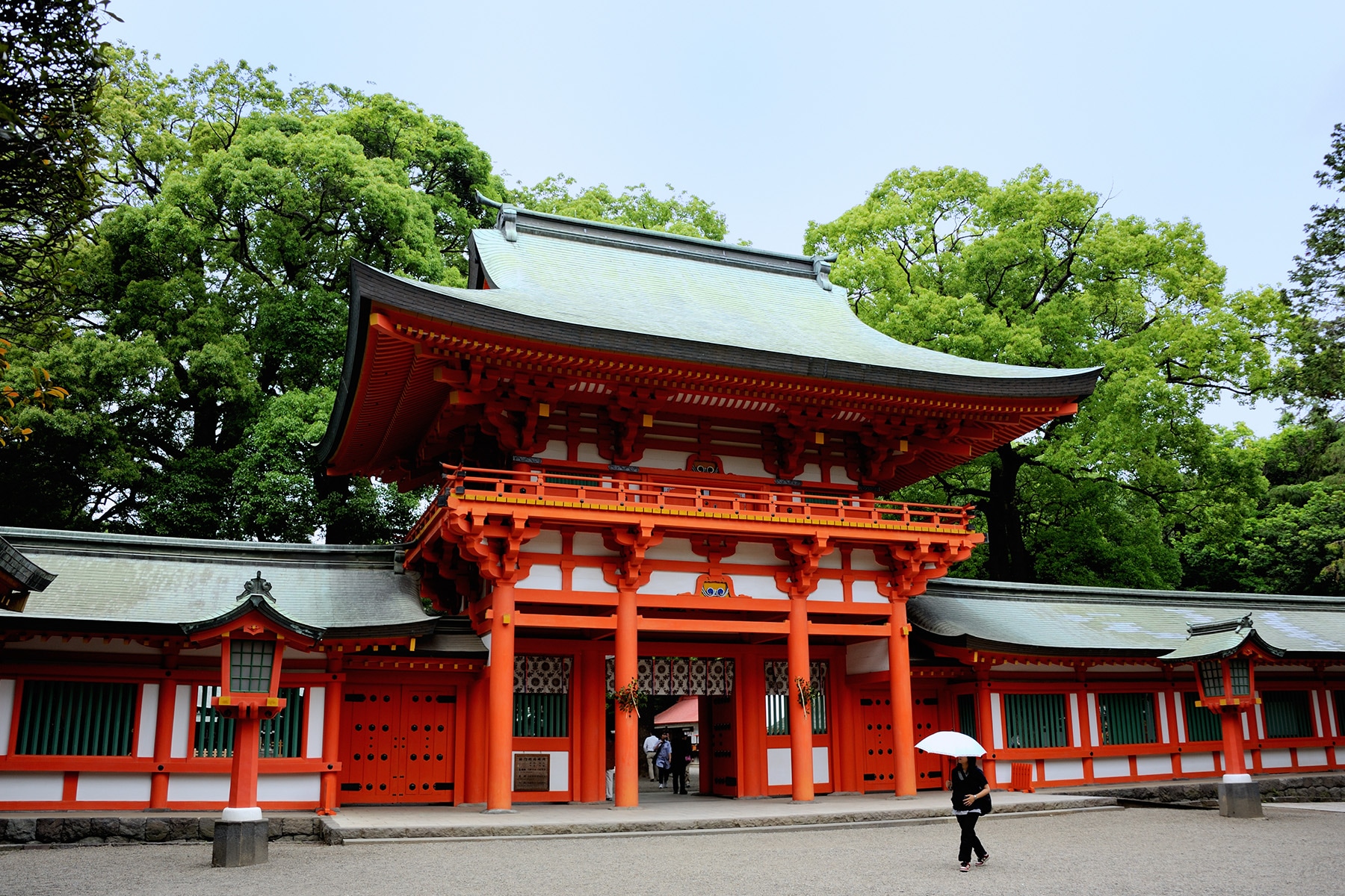 大宮氷川神社の新緑